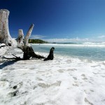 anse trabaud