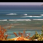 tartane waves