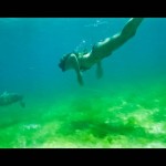Tobago Cays (1)