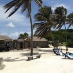 IMG_0401 (Medium)
