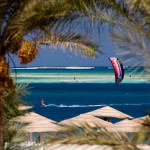 IMG_3531 (Medium)